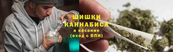 шишки Алексин