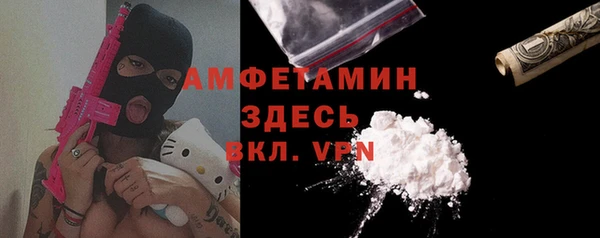 шишки Алексин