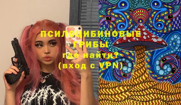 бошки Алзамай